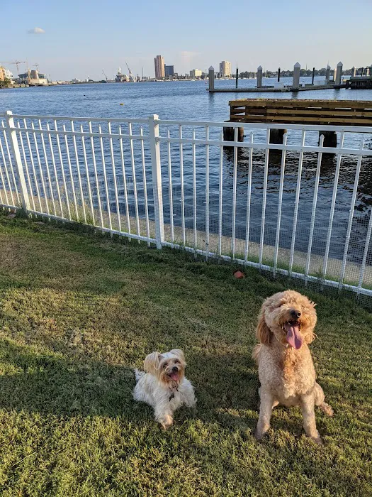 Bea Arthur Dog Park 7
