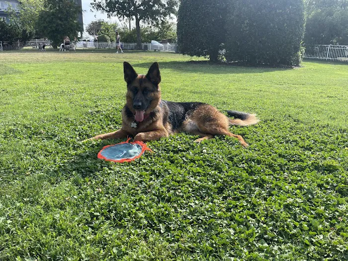 Bea Arthur Dog Park 9