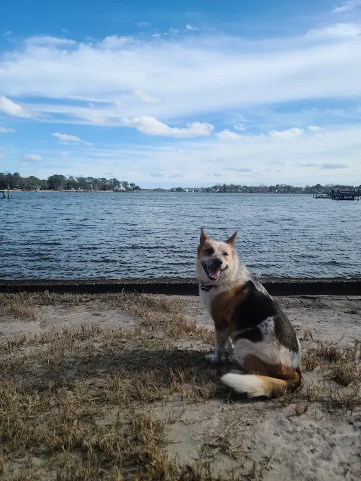 Cambridge Crescent Dog Park 10
