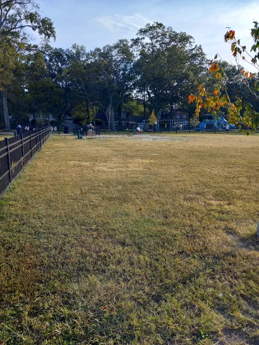 Meadowbrook Dog Park 5