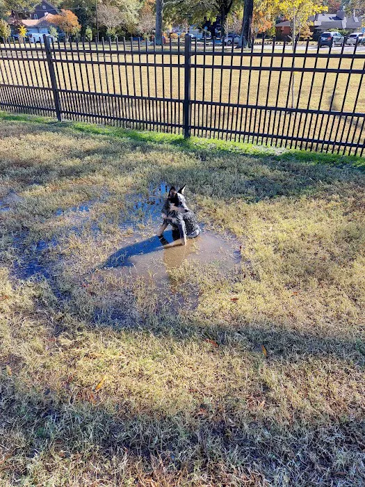 Meadowbrook Dog Park 6