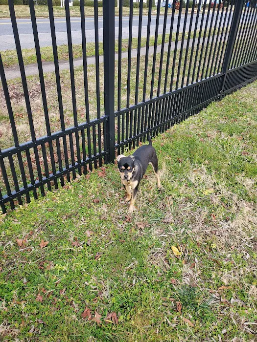Meadowbrook Dog Park 8