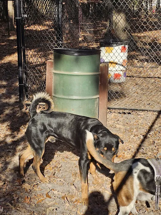 Western Branch Dog Park 1