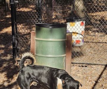 Western Branch Dog Park