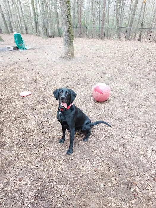 Western Branch Dog Park 6
