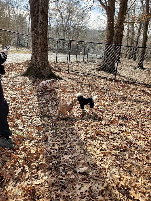 Western Branch Dog Park 8