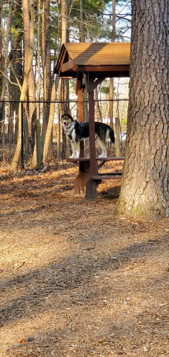 Western Branch Dog Park 3