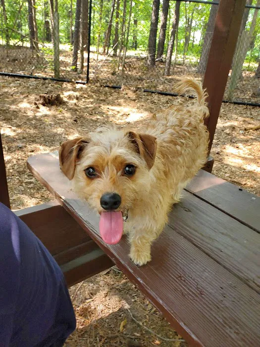 Western Branch Dog Park 5
