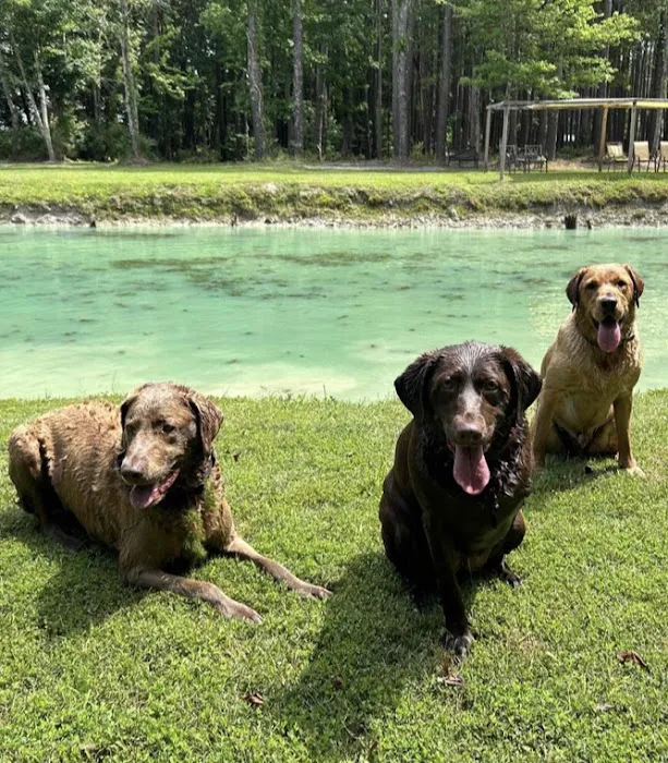Paw’s Moyock 18 Acre Dog Park 10