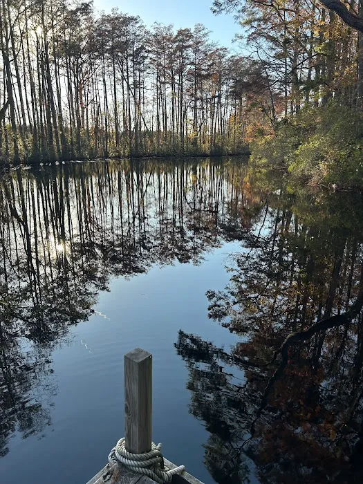 Paw’s Moyock 18 Acre Dog Park 7