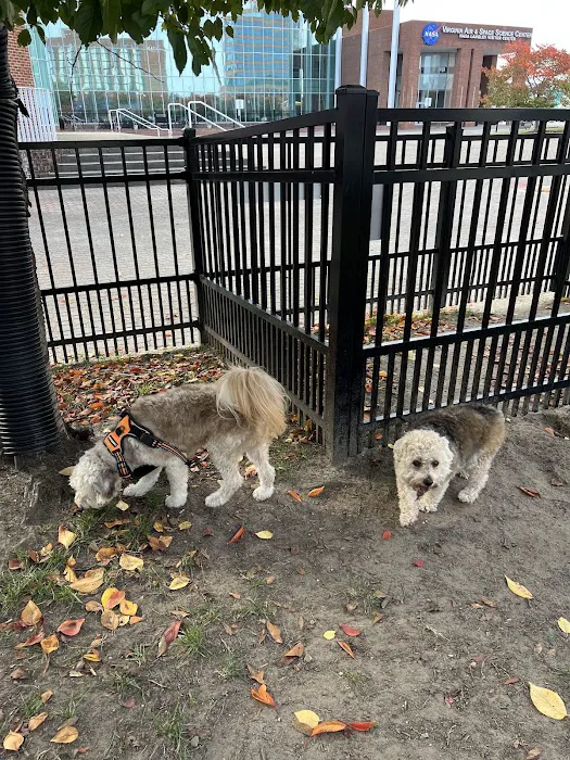 Downtown Hampton Dog Park 8