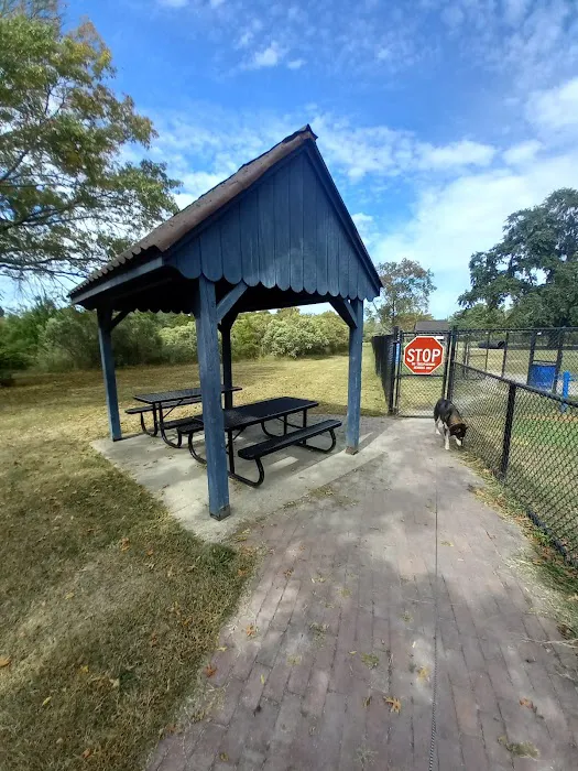 Ridgway Bark Park 3