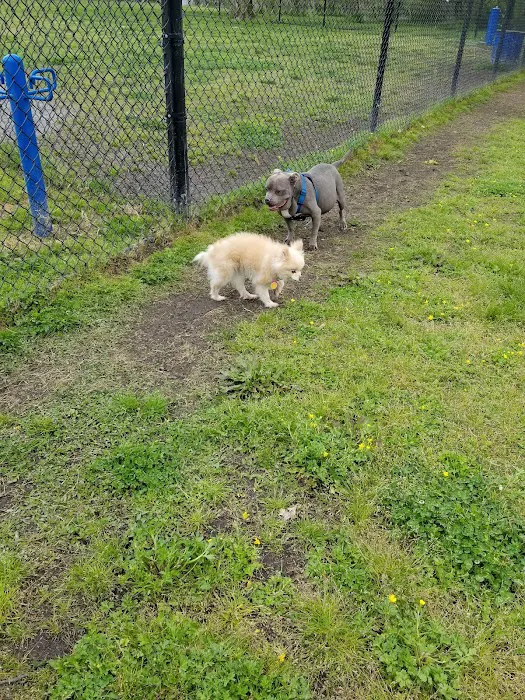 Ridgway Bark Park 10