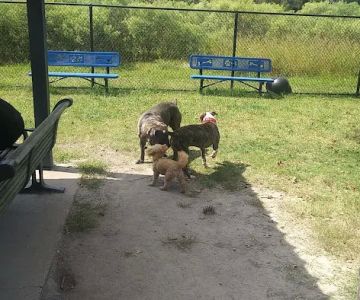 Ridgway Bark Park