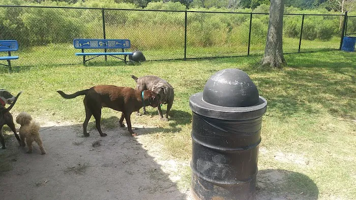 Ridgway Bark Park 2