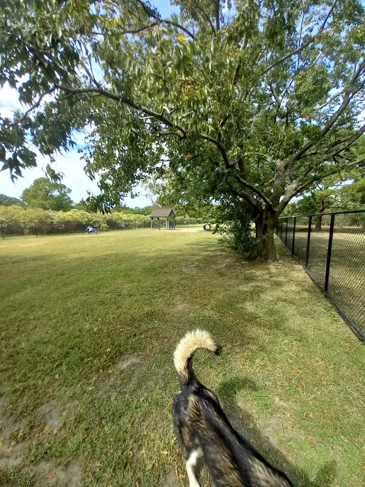 Ridgway Bark Park 4