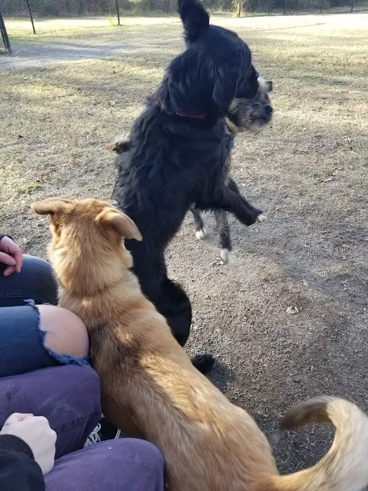 Ridgway Bark Park 6
