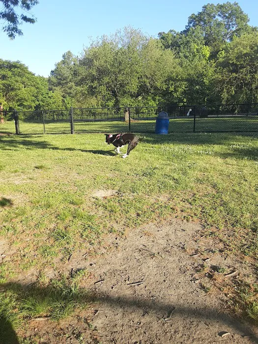 Ridgway Bark Park 7