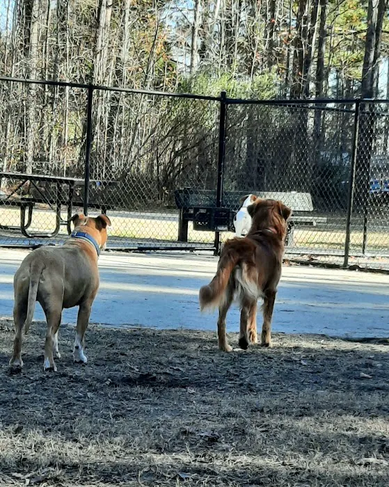 Lake Meade Dog Park 3