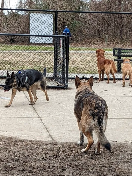 Lake Meade Dog Park 2