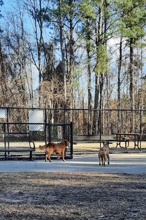 Lake Meade Dog Park 10