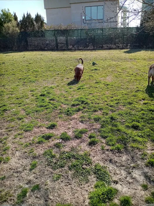 Fido Field 10