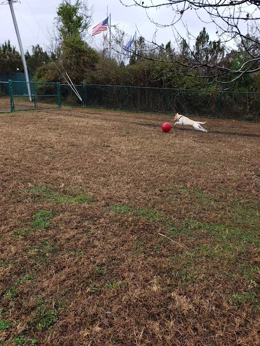 Fido Field 4