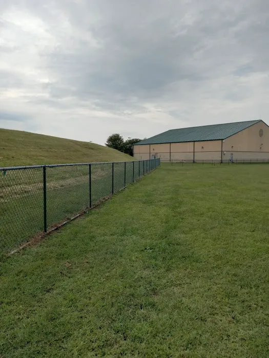 Fido Field 2