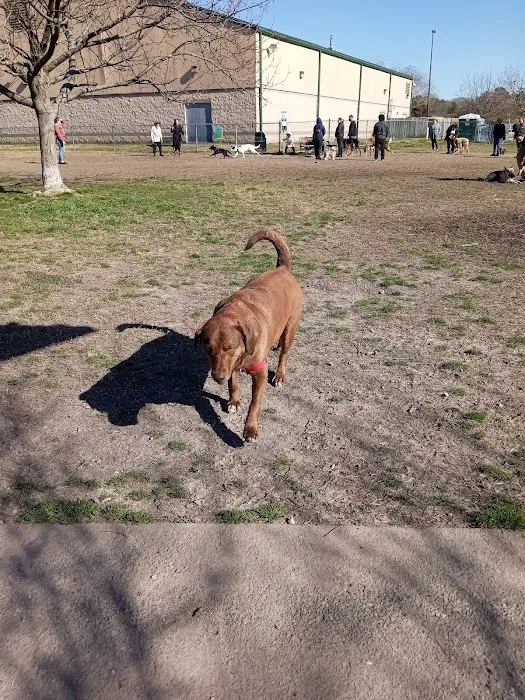Fido Field 9
