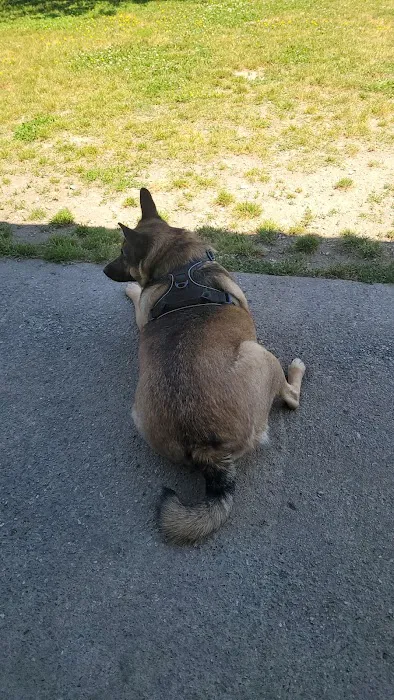 Fido Field 8