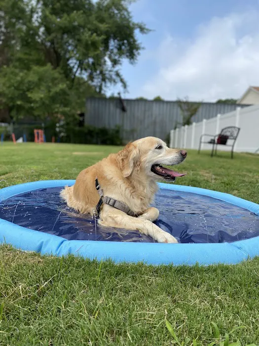 Petquoson Private Dog Park 3