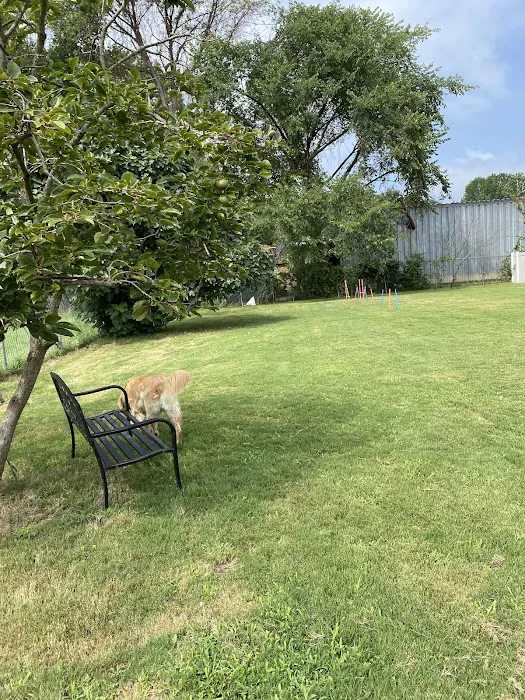 Petquoson Private Dog Park 5