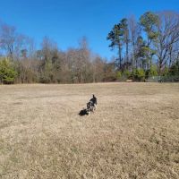 733D Force Support Squadron Dog Park ico
