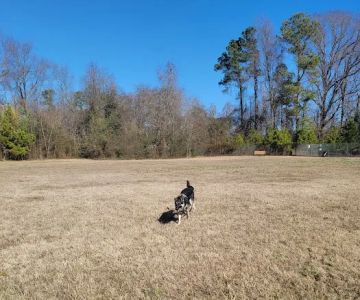 733D Force Support Squadron Dog Park