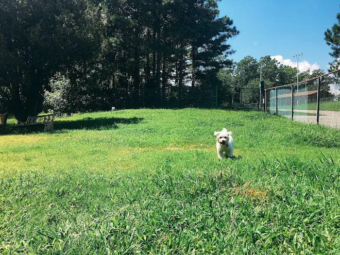 Fort Eustis Dog Park 8