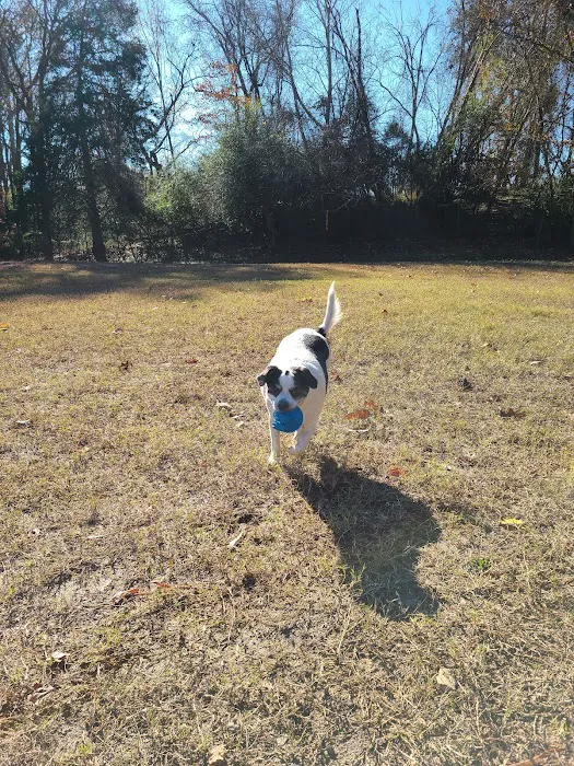 Fort Eustis Dog Park 10