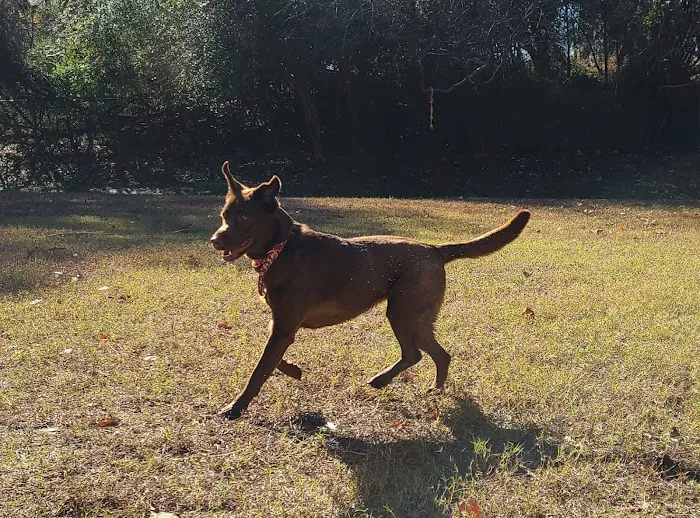 Fort Eustis Dog Park 9