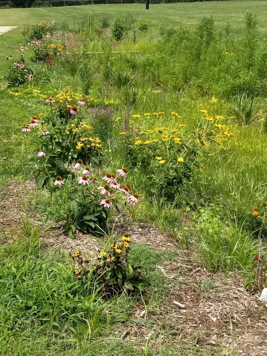 Kidsburg Dog Park 4