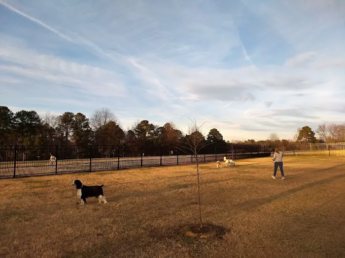 Kidsburg Dog Park 3