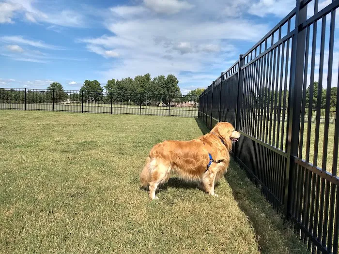 Kidsburg Dog Park 5