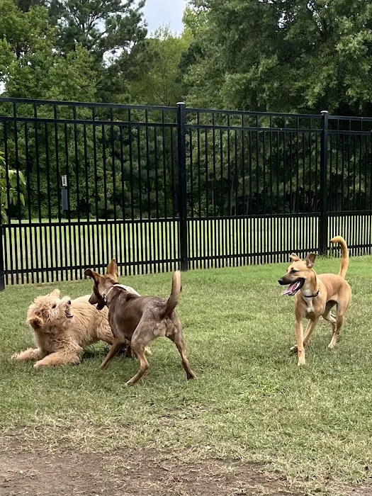 Kidsburg Dog Park 9