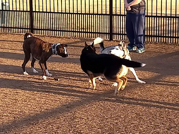 Kidsburg Dog Park 6