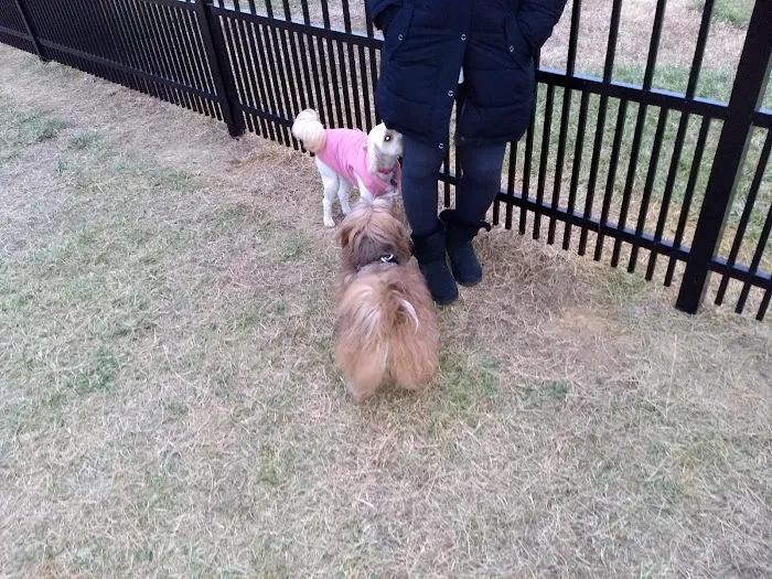 Kidsburg Dog Park 7