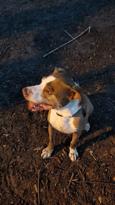 Colonial Place Dog Park 5
