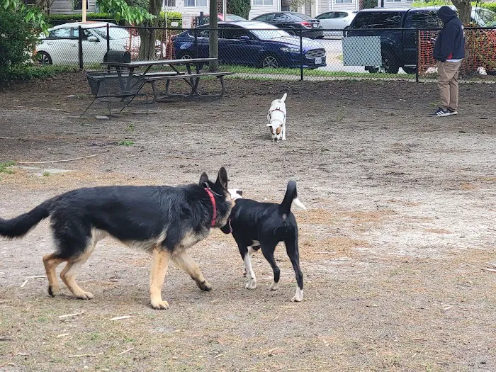 Colonial Place Dog Park 7