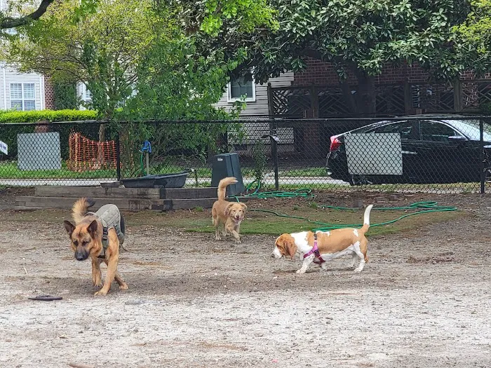 Colonial Place Dog Park 8