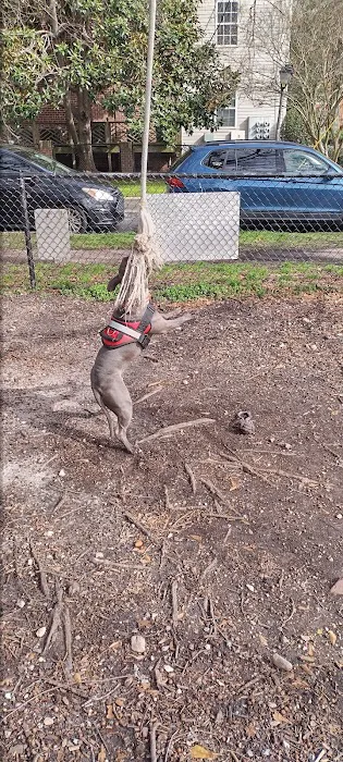 Colonial Place Dog Park 9
