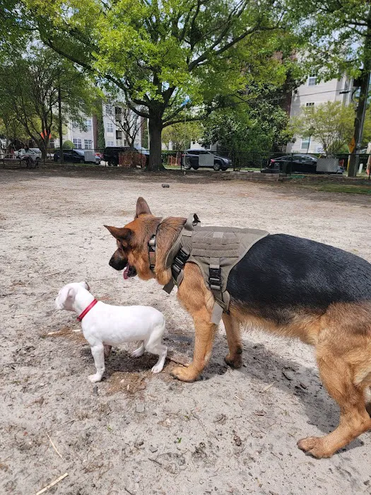 Colonial Place Dog Park 6