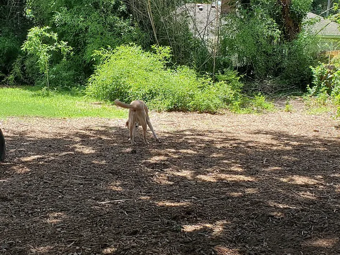 Colonial Place Dog Park 3