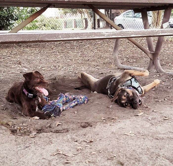 Colonial Place Dog Park 4
